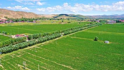 西吉:大力发展高质高效生态循环农业