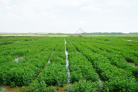 农业灌溉图片_农业灌溉素材_农业灌溉高清图片_摄图网图片下载